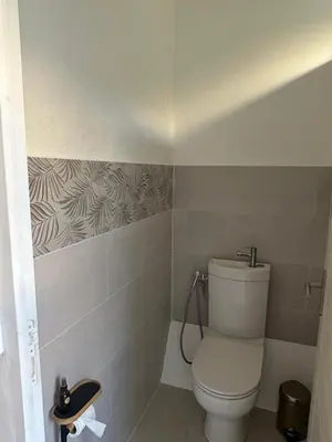 a bathroom with a white toilet in a room at La Maison de Valerie Feng Shui in La Livinière