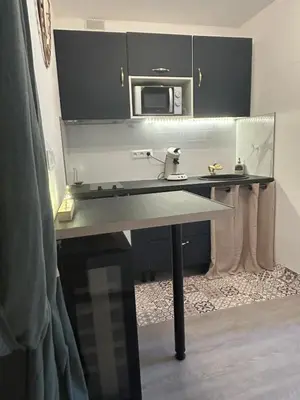 a kitchen counter with a sink and a microwave at La Maison de Valerie Feng Shui in La Livinière