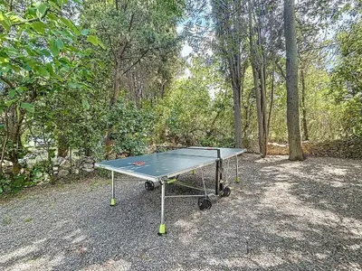 a ping pong table in the middle of a forest at L'Oustal Maison de caractere avec Wifi et climatisation in Villedaigne