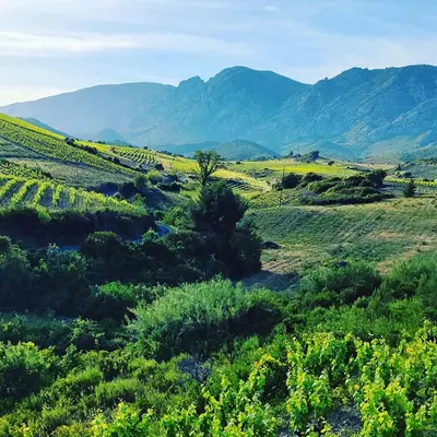 a view of a field with mountains in the background at Hebergement privatif coeur de village in Maury