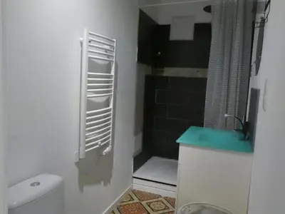 a small bathroom with a toilet and a shower at Hebergement privatif coeur de village in Maury