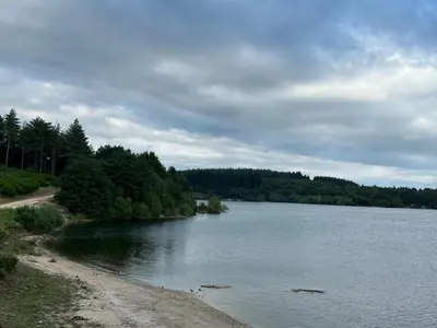 a body of water with trees on the side of it at Cottage by River with Spa near Carcassonne in Caudebronde