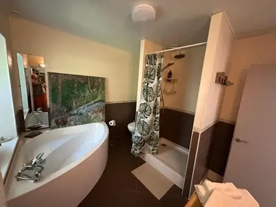 a bathroom with a tub and a shower and a toilet at Cottage by River with Spa near Carcassonne in Caudebronde