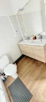 a bathroom with a toilet and a sink at Logement spacieux in Carcassonne
