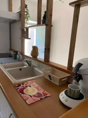 a kitchen counter with a sink and a mixer at Maison entre champs et clochers in Massaguel