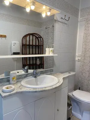 a bathroom with a sink and a toilet at Maison entre champs et clochers in Massaguel