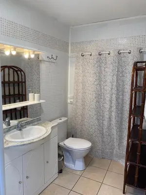 a bathroom with a toilet and a sink and a shower at Maison entre champs et clochers in Massaguel