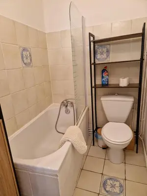 a bathroom with a toilet and a tub and a sink at Le Vieux Fusil in La Celle-sous-Gouzon