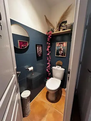 a bathroom with a toilet and a mirror at Le petit cocon de Lolo in Carcassonne