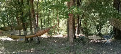 a hammock tied to a tree in a forest at Hamacs Carbounieros