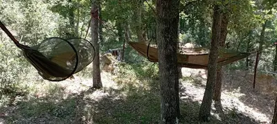 a hammock hanging from two trees in a forest at Hamacs Carbounieros