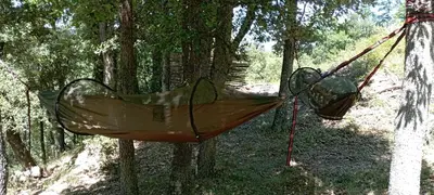 a hammock tied to a tree in the woods at Hamacs Carbounieros