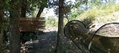a glass item hanging from a tree in the woods at Hamacs Carbounieros