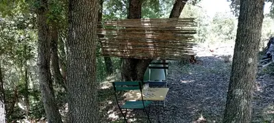 two chairs and a light in a forest with trees at Hamacs Carbounieros