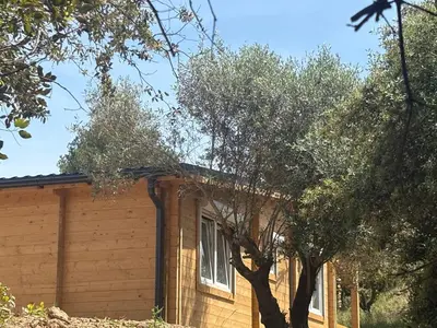 a house with a tree in front of it at Chalet Chêne-Pin in Boutenac