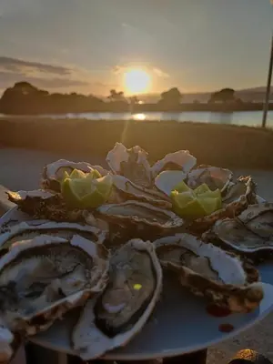a plate of oysters on a table at the beach at Grain de sel in Sigean