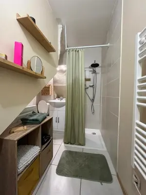 a bathroom with a shower with a green shower curtain at Grain de sel in Sigean