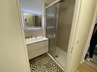 a small bathroom with a sink and a shower at T3 with large roof-top terrace, harbor view in Gruissan