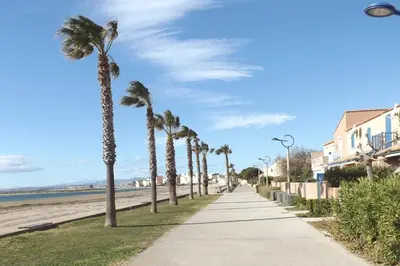 a sidewalk lined with palm trees next to the beach at Villa à Gruissan Mateille avec petit jardin et terrasse couverte in Gruissan