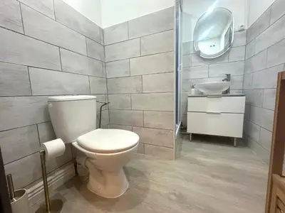 a bathroom with a toilet and a sink at Jolie 2 pièces centre ville in Narbonne