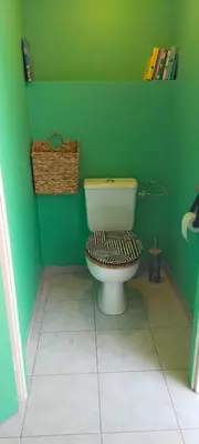 a bathroom with a toilet in a green wall at De l'étang de BAGES au massif de la Clape in Narbonne
