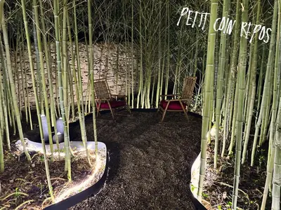 a group of bamboo trees in a room with chairs at Tanabata logde in Pezens