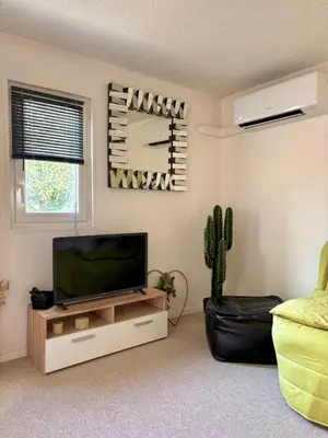 a living room with a flat screen tv and a cactus at Studio équipé in Narbonne