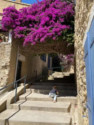 a person sitting on the stairs with purple flowers at Maison bougainvillier Gruissan Village in Gruissan