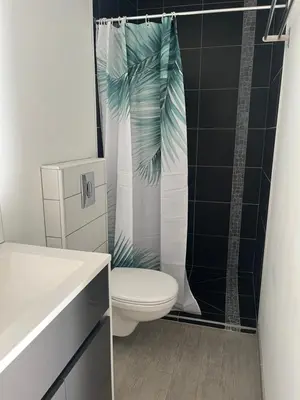 a bathroom with a toilet and a shower curtain at Chambre À la croisée des sens in Carcassonne
