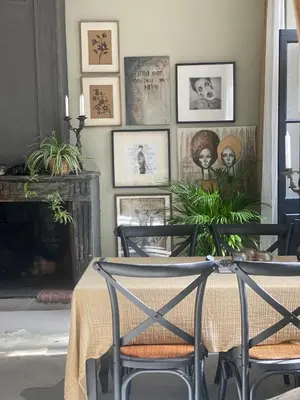 a living room with a fireplace and potted plants at Dreamhome B&B Limoux in Limoux
