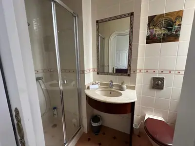 a bathroom with a shower and a sink and a toilet at Villa Corbière - Piscine Privée in Castres
