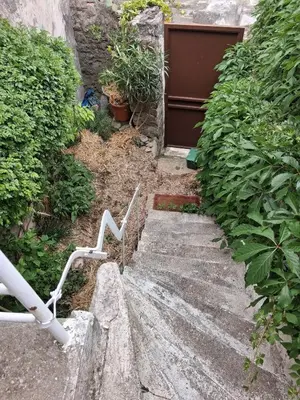 a set of stairs with a door and some plants at - Atelier - in Villalier