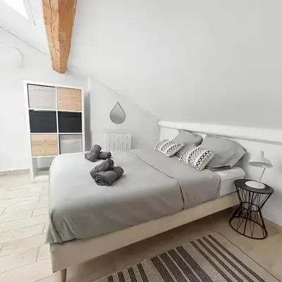 Appartement Lumineux Carcassonne Centre