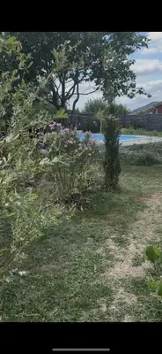 a garden with flowers and a tree and a body of water at Villa avec piscine à mirepoix in Mirepoix