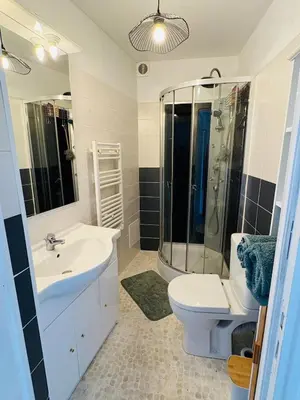 a bathroom with a sink and a toilet and a shower at Le Toit Terrasse l 2 chambres l Terrasse in Castres