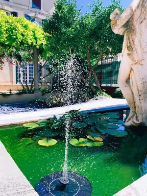 a water fountain with a statue next to a pond with lilies at Maison de maître à BRAM # Jacuzzi in Bram