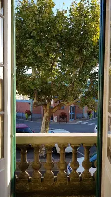 a window view of a tree from a balcony at Maison de maître à BRAM # Jacuzzi in Bram