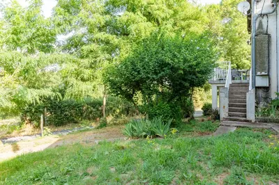 a house with a tree in the yard at La Pause Verte - 30min de Castre in Montredon-Labessonnié