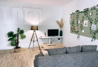 a living room with a couch and a tv at Appartement avec Patio in Carcassonne