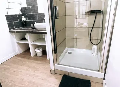 a bathroom with a shower and a sink at Appartement avec Patio in Carcassonne