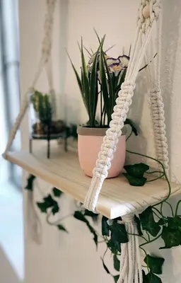 a shelf with a potted plant on it at Appartement avec Patio in Carcassonne
