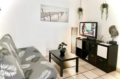 a living room with a couch and a tv at Appartement Centre Ville in Carcassonne