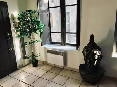 a statue in a room with a window and a plant at Appartement Centre Ville in Carcassonne