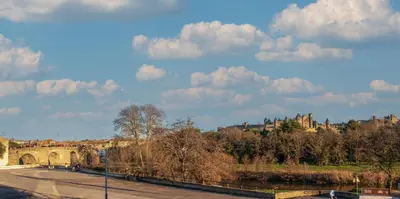 a view of a city with a bridge and a castle at Maison La Djoon,Vue Cité, centre ville Spa Jardin in Carcassonne