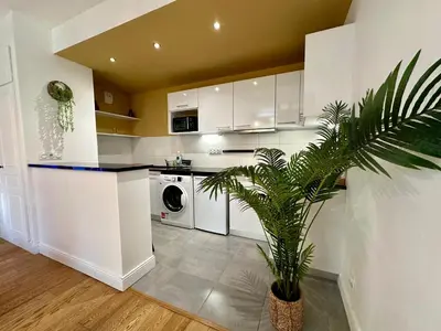 a kitchen with white cabinets and a potted plant at Appartement T2 Méditerranéen in Narbonne