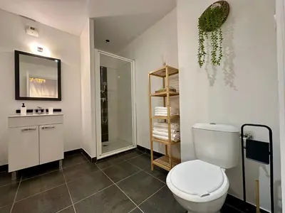 a bathroom with a white toilet and a sink at Appartement T2 Méditerranéen in Narbonne