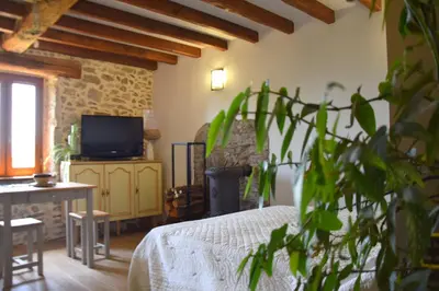 a bedroom with a bed and a table and a tv at gîte les Libellules in Saint-Salvy-de-la-Balme