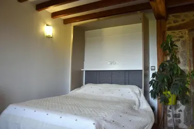 a bedroom with a bed and a potted plant at gîte les Libellules in Saint-Salvy-de-la-Balme