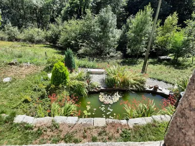 a pond in the middle of a garden at gîte les Libellules in Saint-Salvy-de-la-Balme