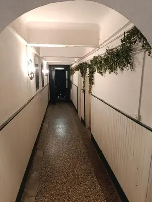 an empty hallway with a plant hanging on the wall at Good Knight Inn in Carcassonne